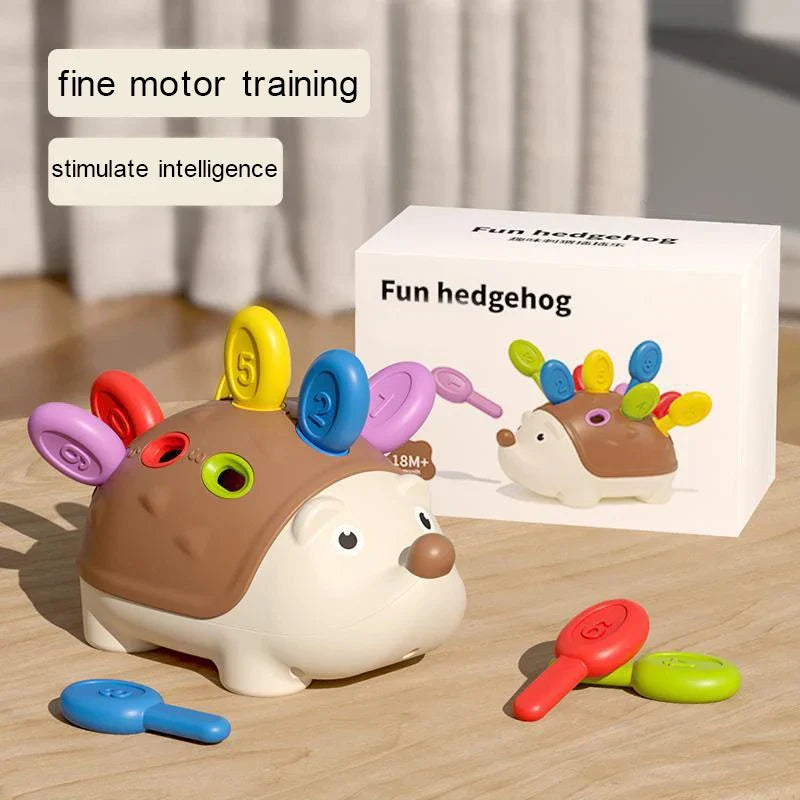 Hedgehog Montessori Sensory Toy