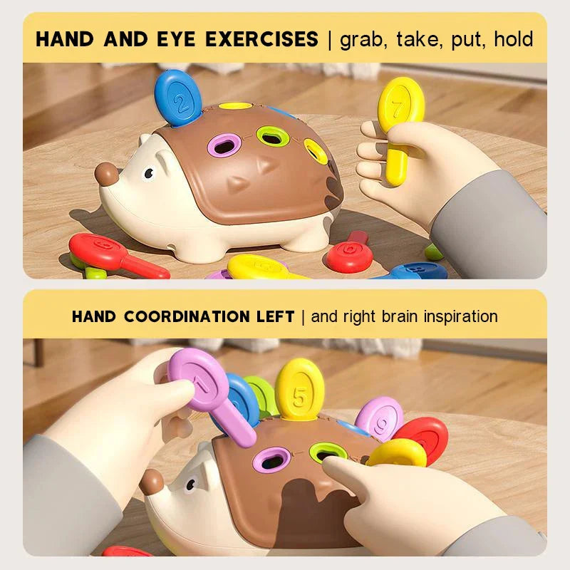 Hedgehog Montessori Sensory Toy